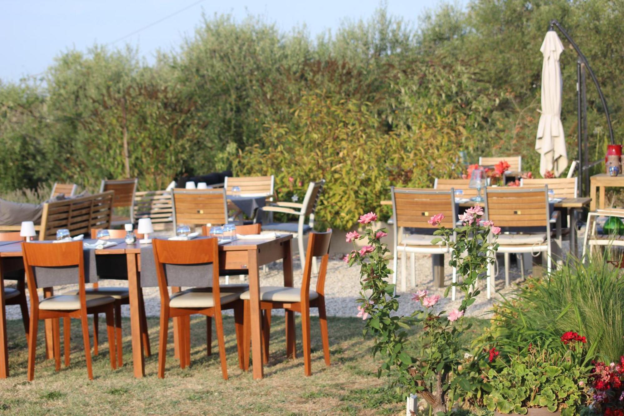 Gastronomic B&B Carlocarla Monte San Pietrangeli Exterior foto